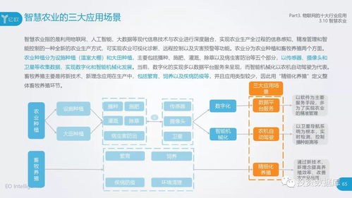 2018中國物聯網應用研究報告 服務賦能，連接未來