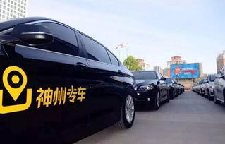 神州租車前三季業(yè)績(jī)大增 汽車租賃量飆升65%，出租率達(dá)歷史高位